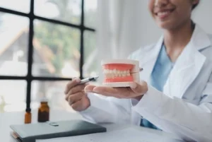 dentist explanation using a model